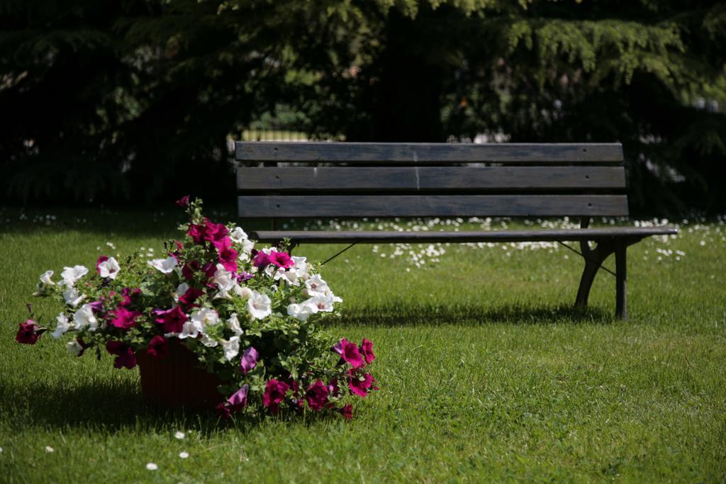 Hotel Bassetto Ferentino Bagian luar foto