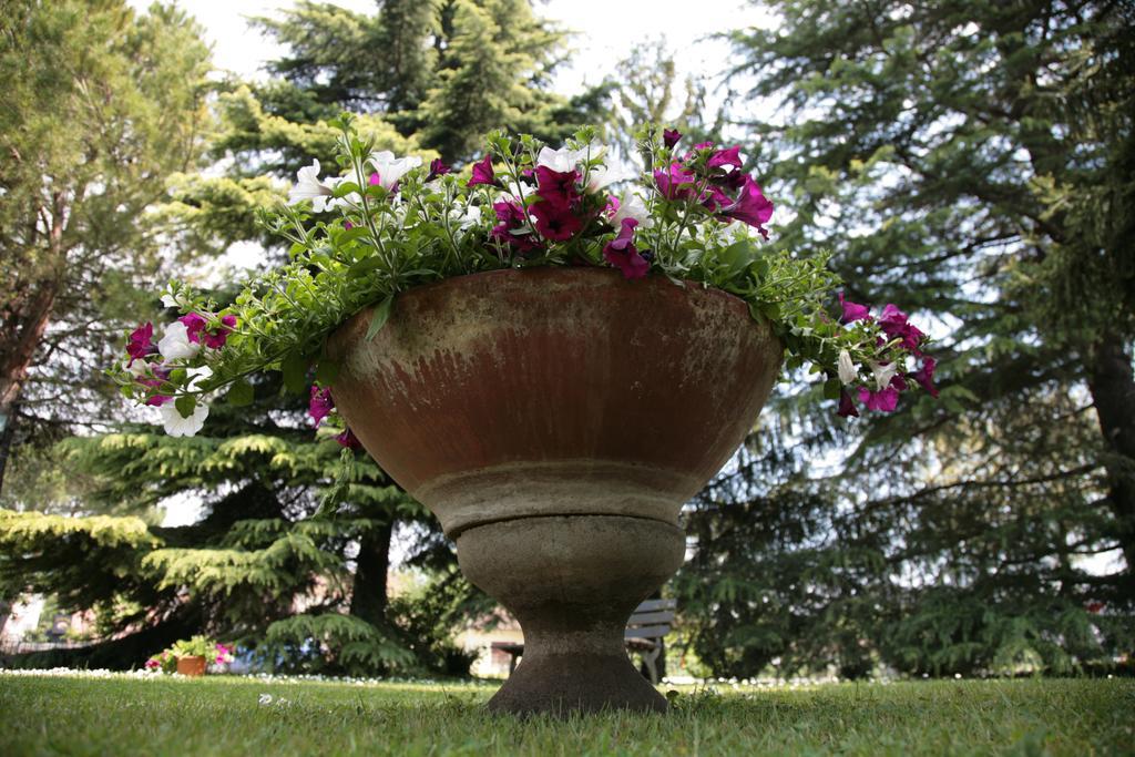 Hotel Bassetto Ferentino Bagian luar foto
