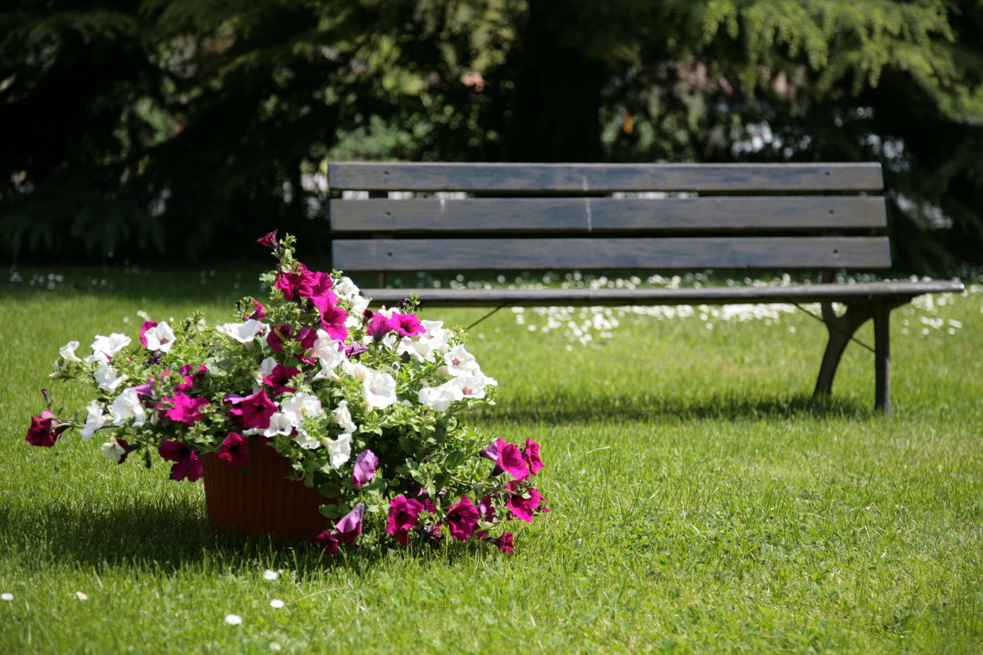 Hotel Bassetto Ferentino Bagian luar foto